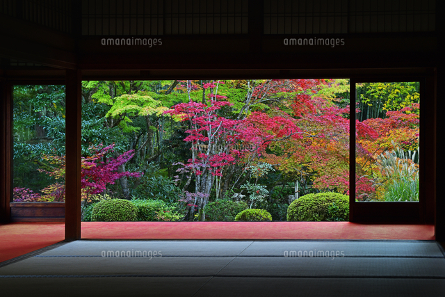 南禅寺 天授庵 額縁庭園 紅葉 京都府 京都市[22456010168]の写真