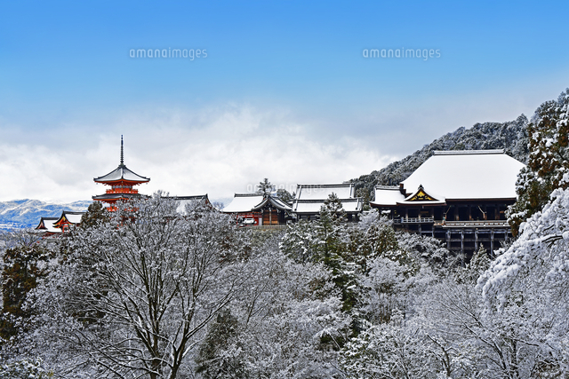 清水寺 遠景 雪景色 京都府 京都市[22456010363]の写真
