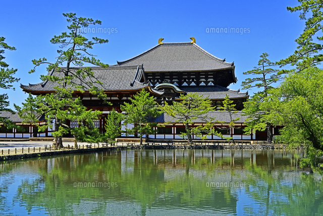 東大寺 大仏殿 （金堂） 奈良県 奈良市[22456010923]の写真・イラスト