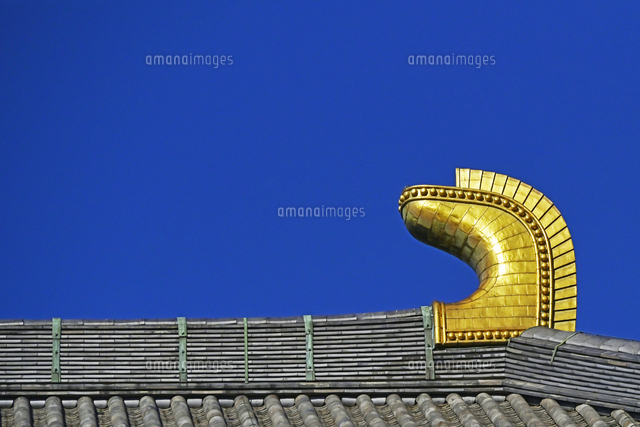 東大寺 大仏殿 鴟尾 奈良県 奈良市[22456011126]の写真