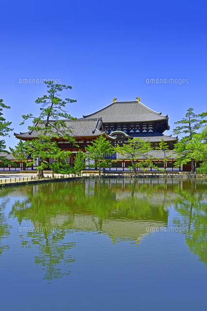 東大寺大仏池 大仏池 紅葉