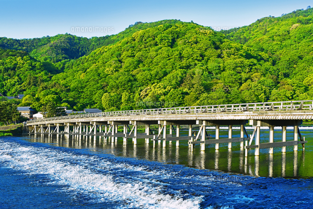 新緑の嵐山 渡月橋 京都府 京都市[22456011390]の写真・イラスト素材