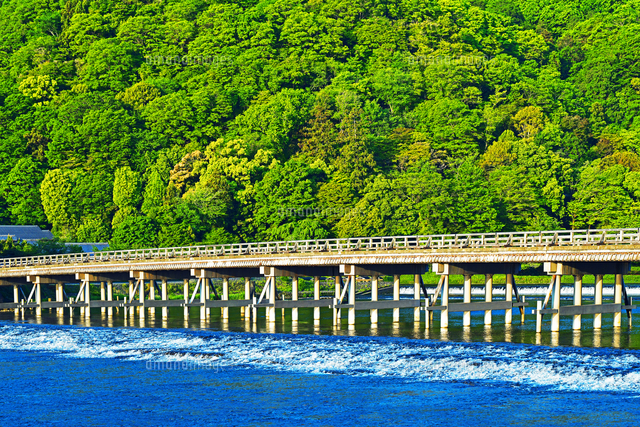 新緑の嵐山 渡月橋 京都府 京都市[22456011391]の写真・イラスト素材