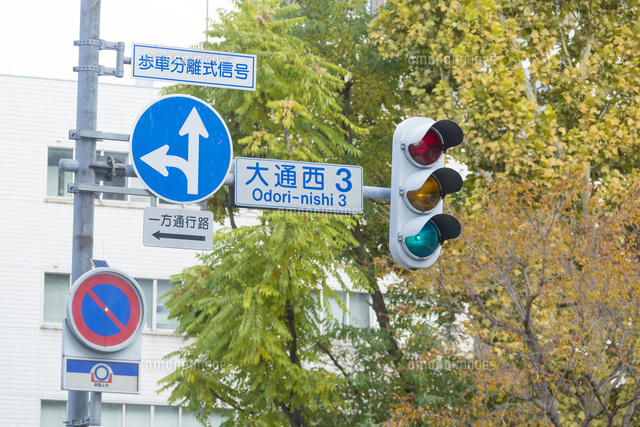 看板などに 信号機 縦型 本体 本物