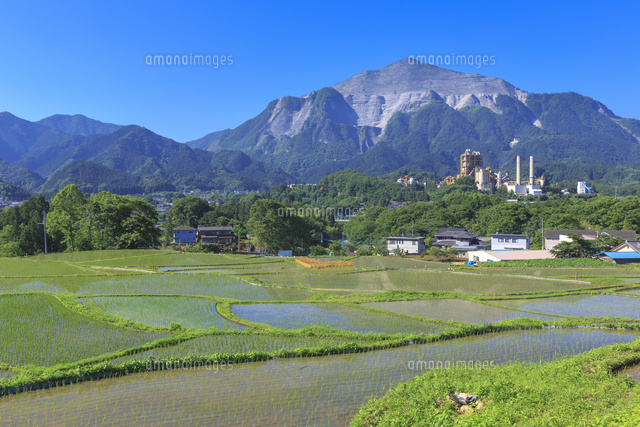 秩父の棚田と武甲山[22502004740]の写真・イラスト素材｜アマナイメージズ