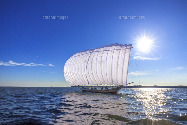 霞ヶ浦の帆引き船 の写真素材 イラスト素材 アマナイメージズ