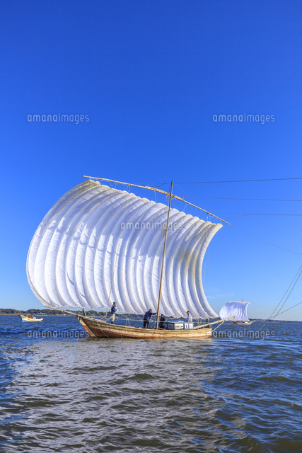 霞ヶ浦の帆引き船 の写真素材 イラスト素材 アマナイメージズ