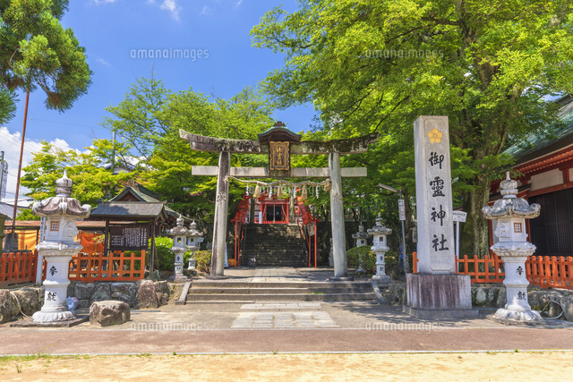 御霊神社[22502013663]の写真素材・イラスト素材｜アマナイメージズ