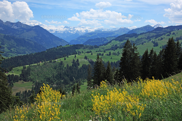 スイス アルプス風景 の写真素材 イラスト素材 アマナイメージズ