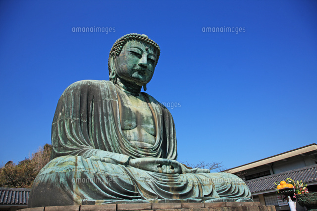 神奈川県 鎌倉大仏 の写真素材 イラスト素材 アマナイメージズ
