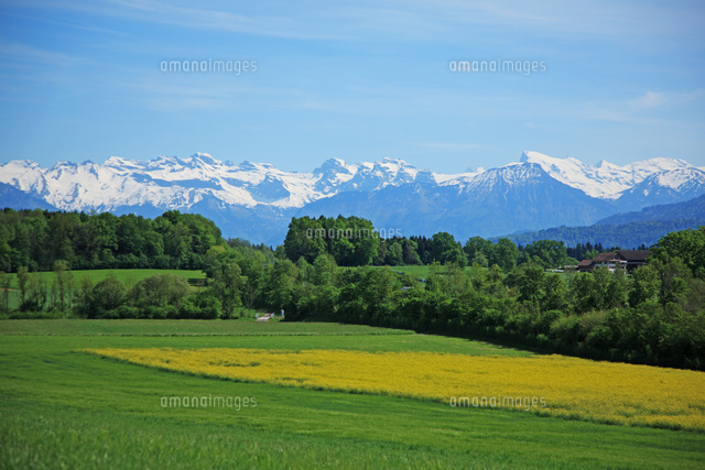 田園風景 スイス[22585000827]の写真・イラスト素材｜アマナイメージズ