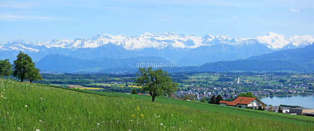 田園風景 スイス[22585000984]の写真・イラスト素材｜アマナイメージズ