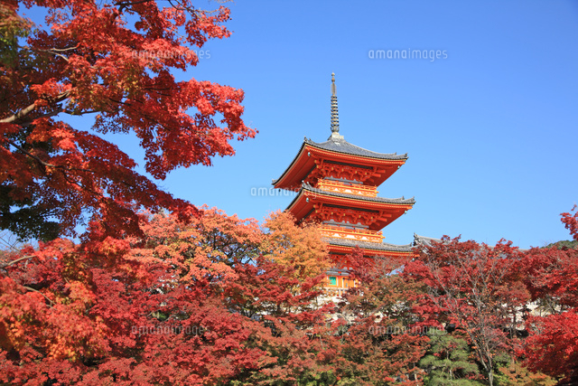 京都 清水寺 三重塔 の写真素材 イラスト素材 アマナイメージズ