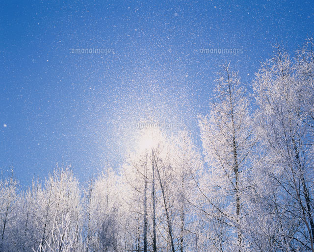 樹氷とダイヤモンドダスト の写真素材 イラスト素材 アマナイメージズ