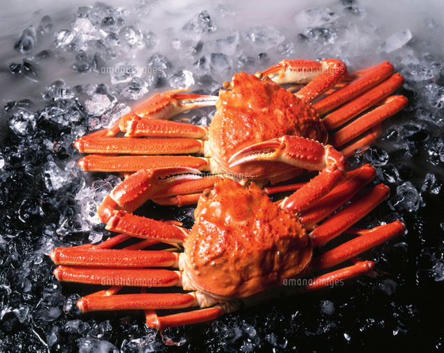 ずわい蟹と氷 の写真素材 イラスト素材 アマナイメージズ
