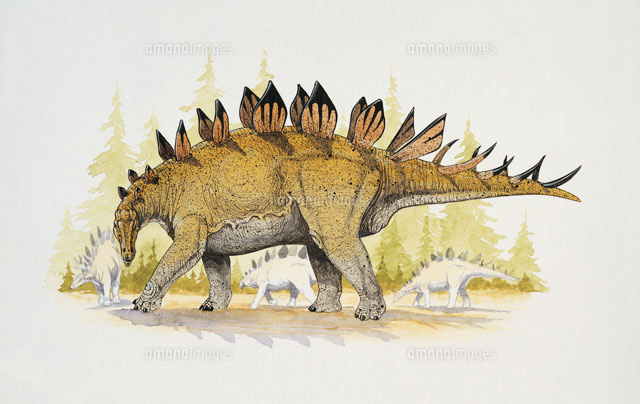 Dacentrurus Dinosaur In The Forest の写真素材 イラスト素材 アマナイメージズ