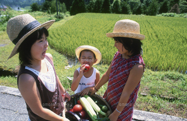 農道で夏野菜を運ぶ姉とトマトをかじる弟 の写真素材 イラスト素材 アマナイメージズ