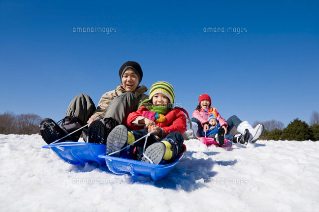 ソリです Whirledpies Com