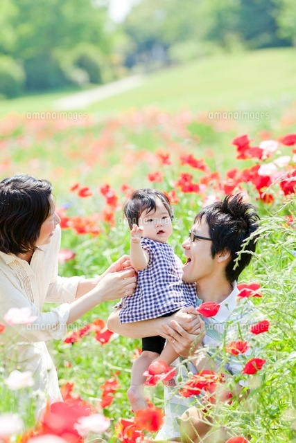 花畑の中で遊ぶ3人家族 の写真素材 イラスト素材 アマナイメージズ