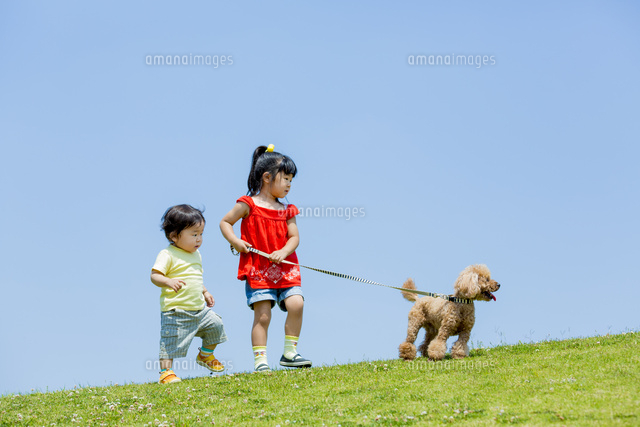 公園で犬と遊ぶ姉と弟 の写真素材 イラスト素材 アマナイメージズ