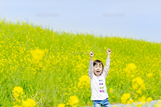 菜の花畑でジャンプする女の子 の写真素材 イラスト素材 アマナイメージズ