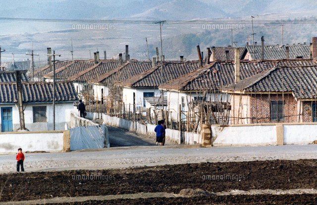1993年 北朝鮮 地方[22973001981]の写真・イラスト素材｜アマナイメージズ