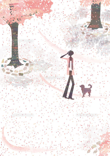 桜が舞う中を歩く女性と犬 の写真素材 イラスト素材 アマナイメージズ