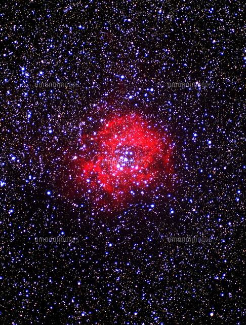 バラ星雲[22995000167]の写真・イラスト素材｜アマナイメージズ