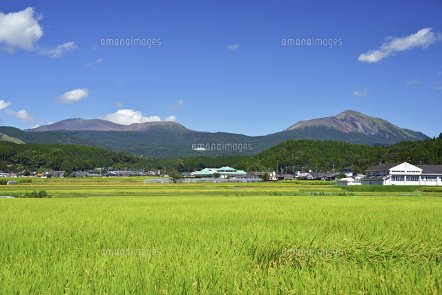 霧島連山「韓国岳から高千穂の峰」[22995000563]の写真・イラスト素材