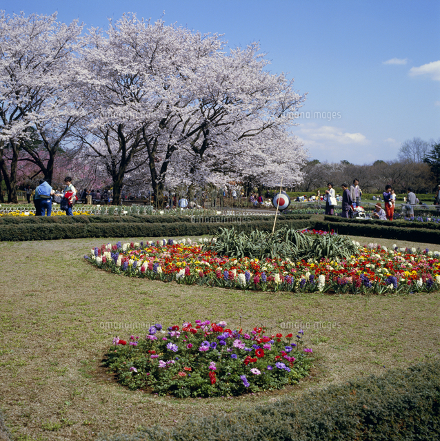 植物園 の写真素材 イラスト素材 アマナイメージズ
