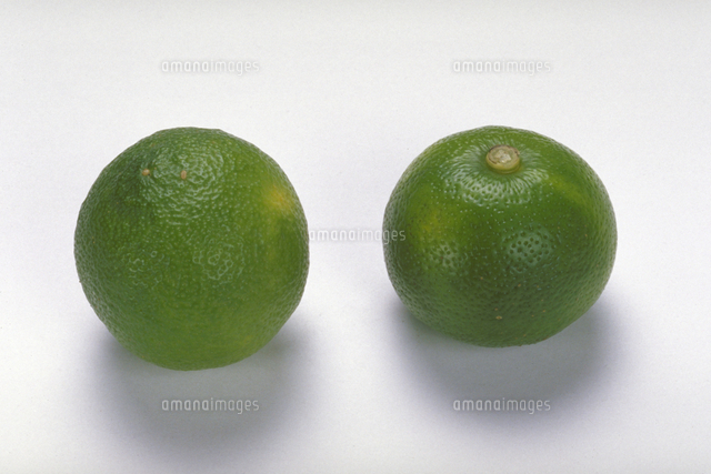 すだち の写真素材 イラスト素材 アマナイメージズ