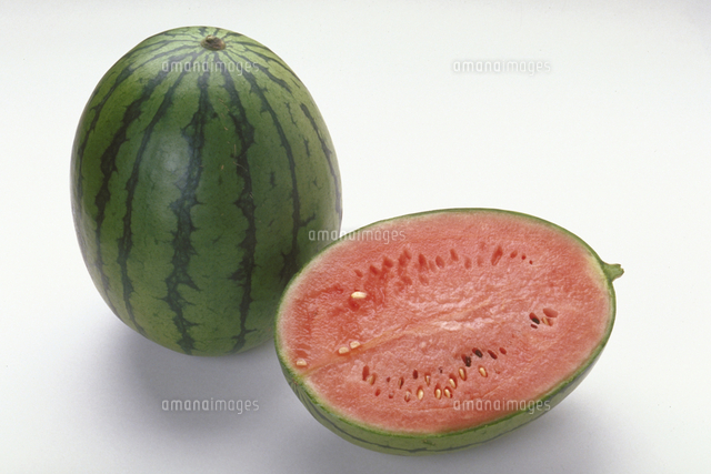 すいか ラビット の写真素材 イラスト素材 アマナイメージズ