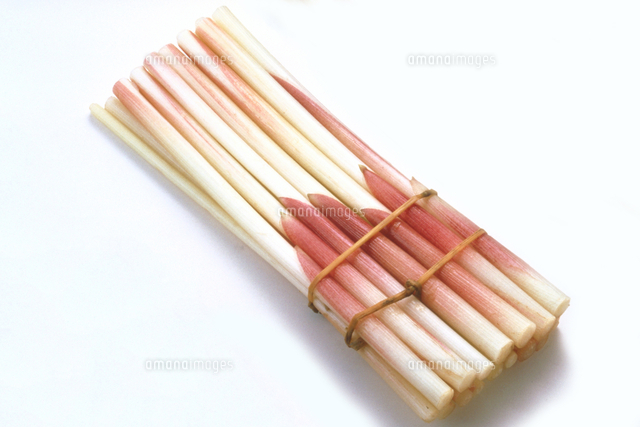 みょうが みょうがたけ の写真素材 イラスト素材 アマナイメージズ