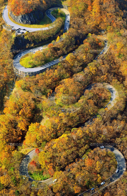 見ごろを迎えた紅葉 いろは坂 の写真素材 イラスト素材 アマナイメージズ