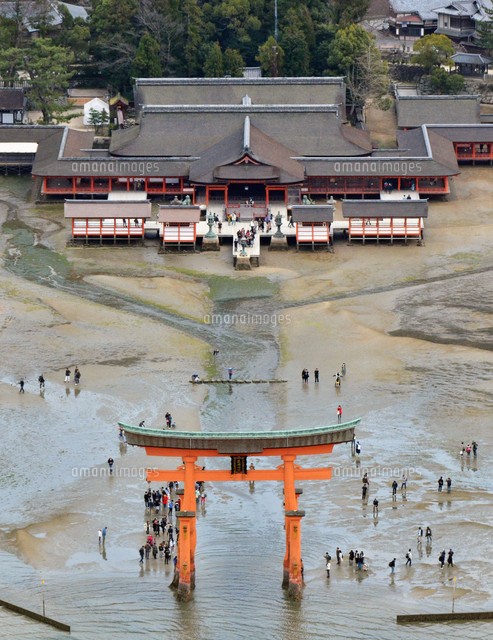 厳島神社と大鳥居 の写真素材 イラスト素材 アマナイメージズ