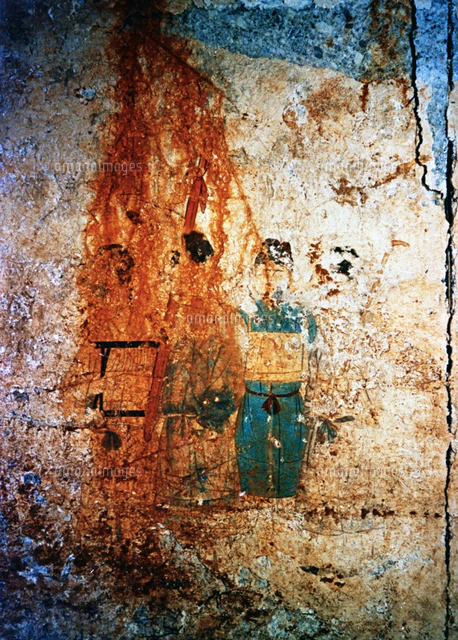 高松塚古墳の壁画公開、西壁に描かれていた白虎＝奈良県明日香村