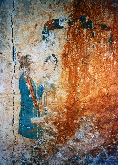 高松塚古墳の壁画公開、西壁に描かれていた白虎＝奈良県明日香村