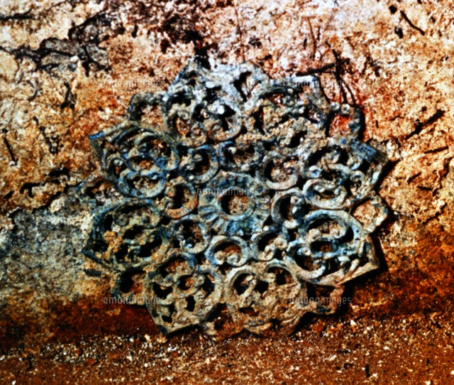 高松塚古墳の壁画公開、西壁に描かれていた白虎＝奈良県明日香村 画像