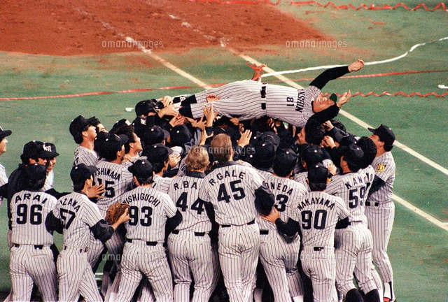 阪神タイガースが日本一 歓喜するナインに胴上げされる吉田監督