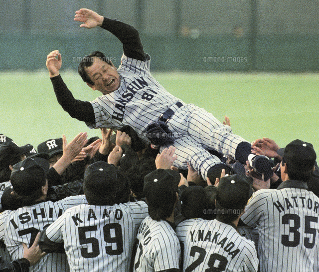 阪神タイガースが日本一 歓喜するナインに胴上げされる吉田監督