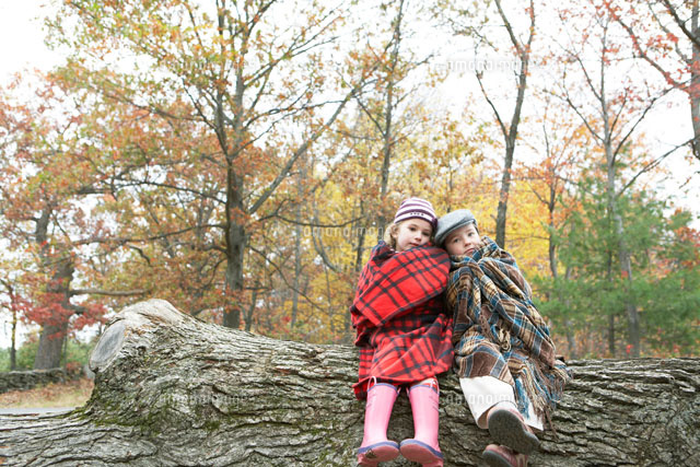木の上でブランケットに包まる少年と少女 a の写真素材 イラスト素材 アマナイメージズ