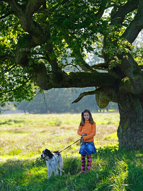 北欧の森で犬と散歩する少女 の写真素材 イラスト素材 アマナイメージズ