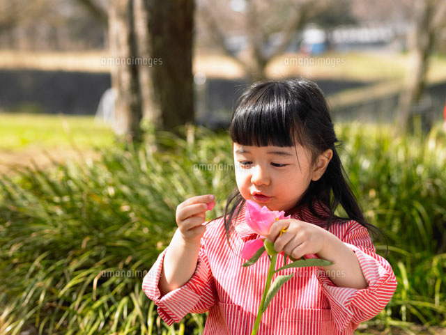 花を一輪持っている女の子 の写真素材 イラスト素材 アマナイメージズ