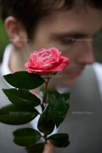 椿を手に持つ男性 の写真素材 イラスト素材 アマナイメージズ