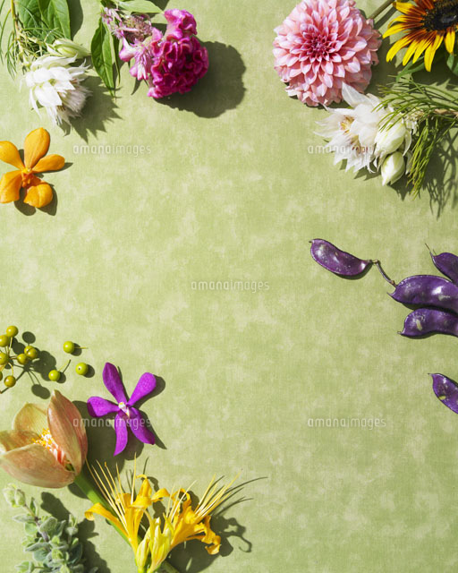 生花のウォールペーパー 24015000497 の写真素材 イラスト素材 アマナイメージズ
