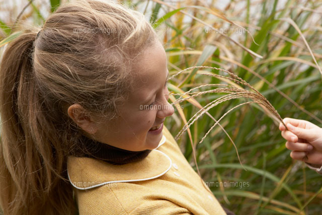 ススキでくすぐられる少女 の写真素材 イラスト素材 アマナイメージズ