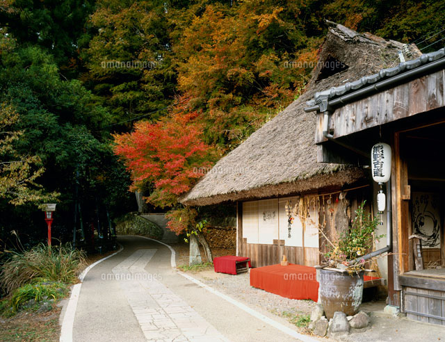 熊野古道 とがの木茶屋 の写真素材 イラスト素材 アマナイメージズ