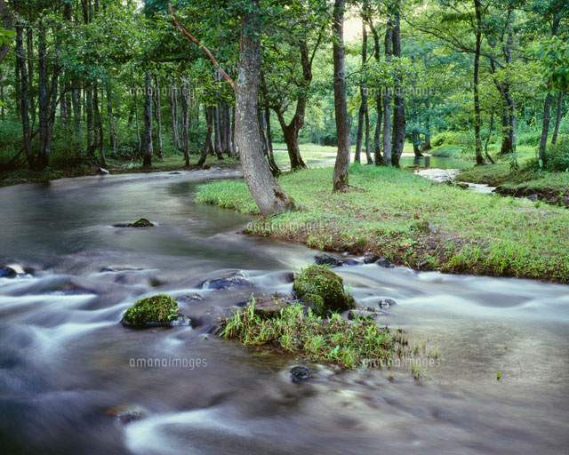小野川[25041013670]の写真素材・イラスト素材｜アマナイメージズ