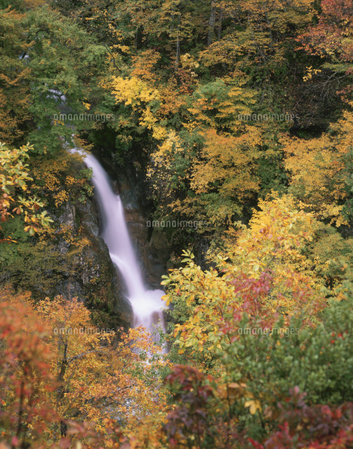 秋山郷 蛇淵の滝 の写真素材 イラスト素材 アマナイメージズ