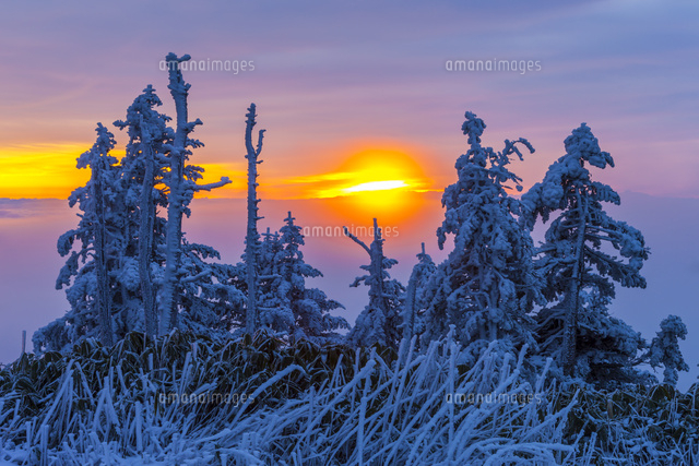 赤絵三段飾り　雪景色朝日 mqdefault.jpg